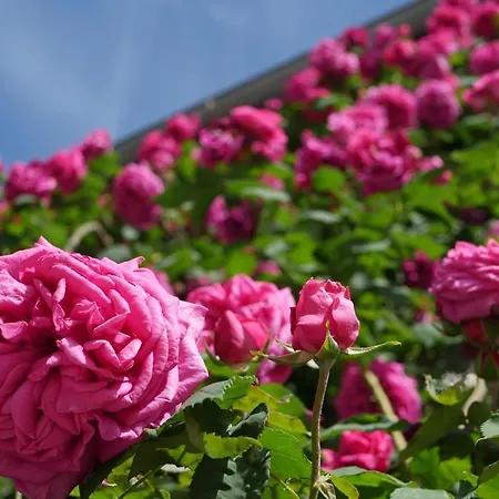 D'hotes Secret Pyrenees Lasseube