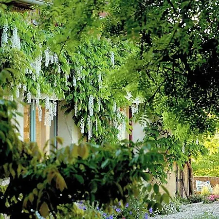 Bed & Breakfast D'hotes Secret Pyrenees Lasseube