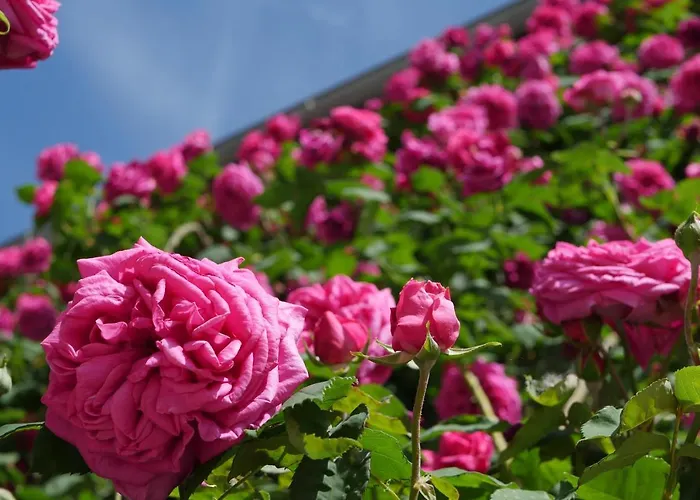 D'hotes Secret Pyrenees Lasseube