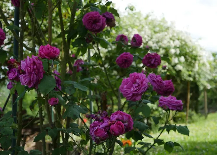 D'hotes Secret Pyrenees Bed & Breakfast